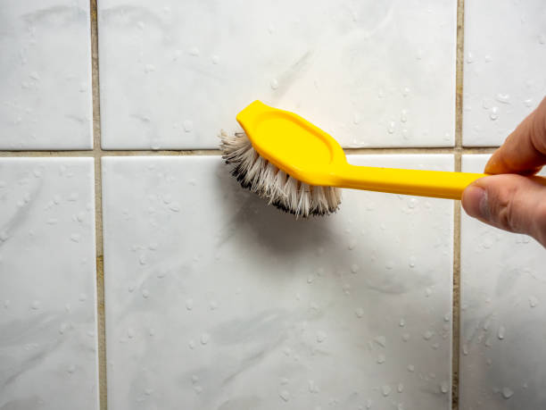 Best Local Mold Removal Service  in North New Hyde Park, NY
